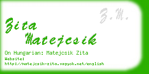 zita matejcsik business card